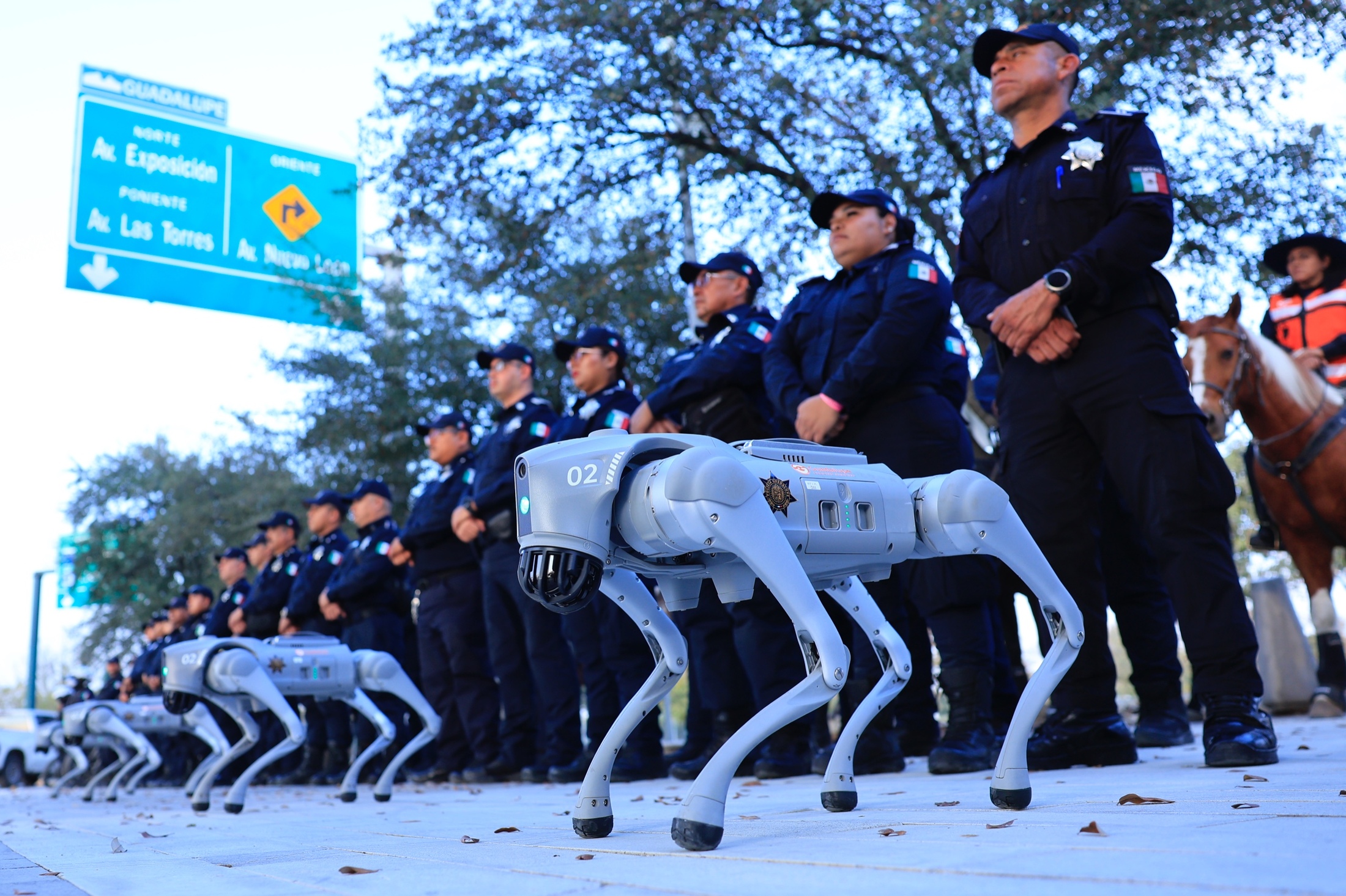 Cães-robôs são novidade mexicana na segurança de estádio da Copa do Mundo