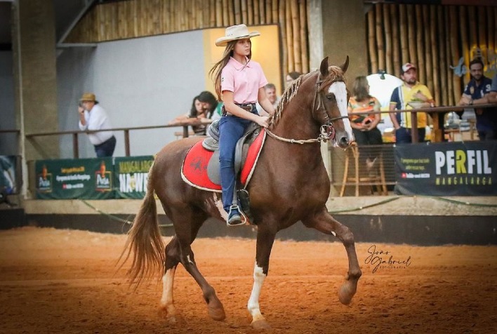 Chapéu é símbolo cultural e equipamento de proteção reconhecido na montaria brasileira