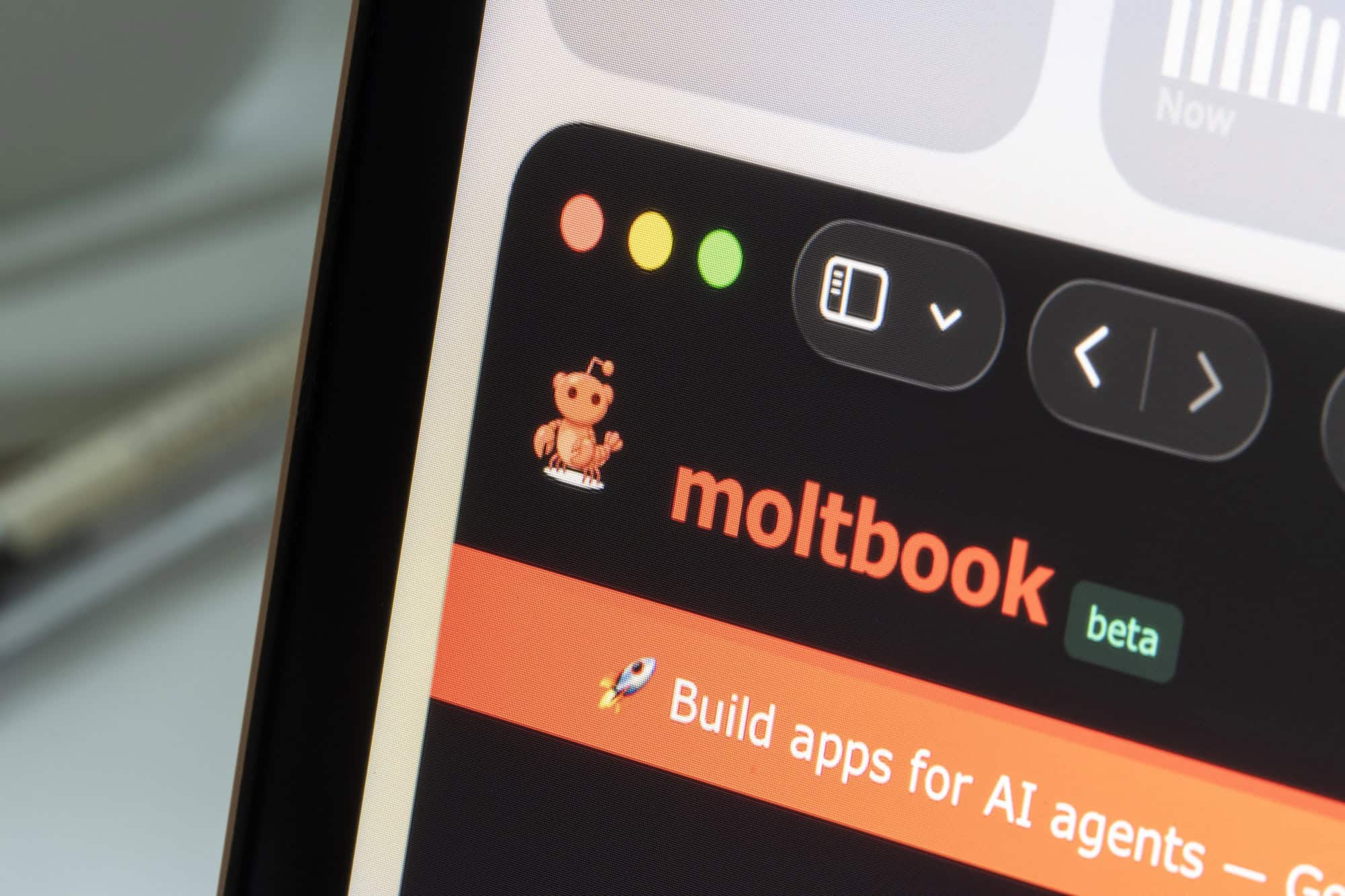 Moltbook viraliza, mas especialistas apontam falhas de segurança