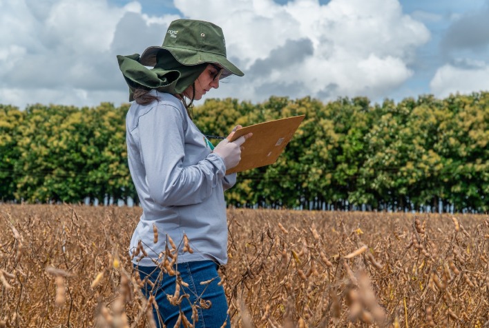 Pesquisas científicas tornam lavouras de Mato Grosso mais eficientes e econômicas