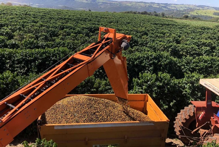 Safra recorde de café em 2026 abre espaço para reequilíbrio financeiro e renegociações no agronegócio