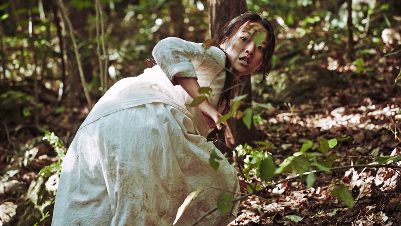 10 filmes de zumbi que (provavelmente) você não conhece