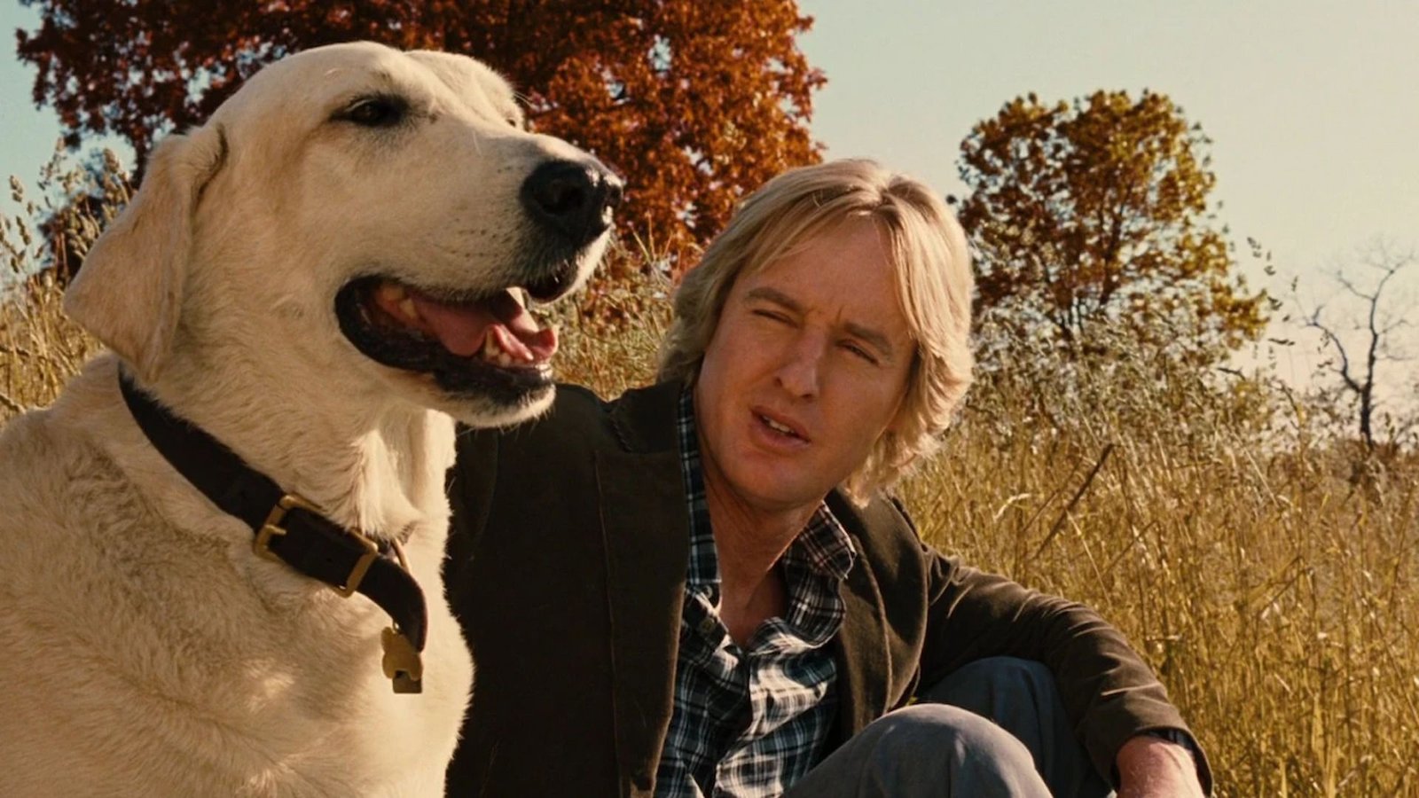 13 filmes tão impactantes que você não vai querer rever