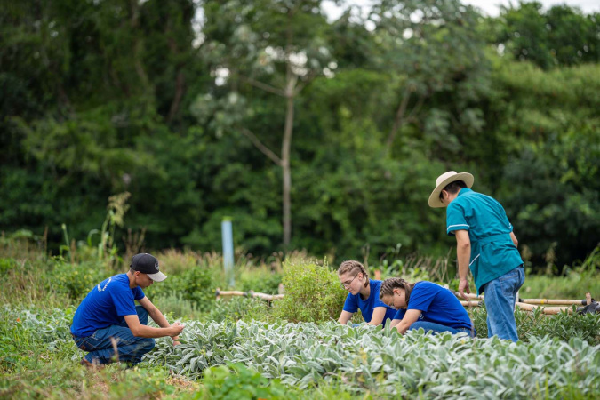 Colégio agrícola de Castro atinge receita milionária com produção no ensino técnico