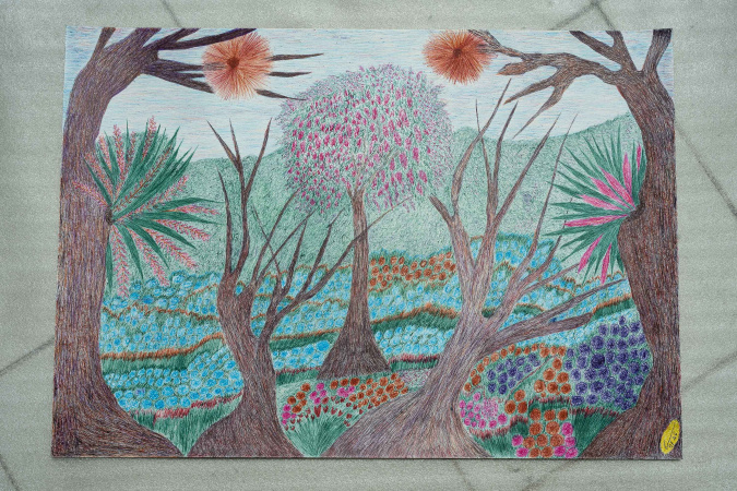 Museu Casa Alfredo Andersen assina curadoria de nova exposição de Marçal Marques