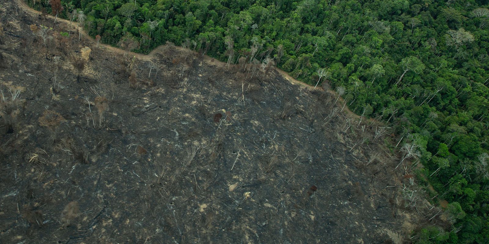 Operação aplica R$ 28 milhões em multas ambientais no Amazonas