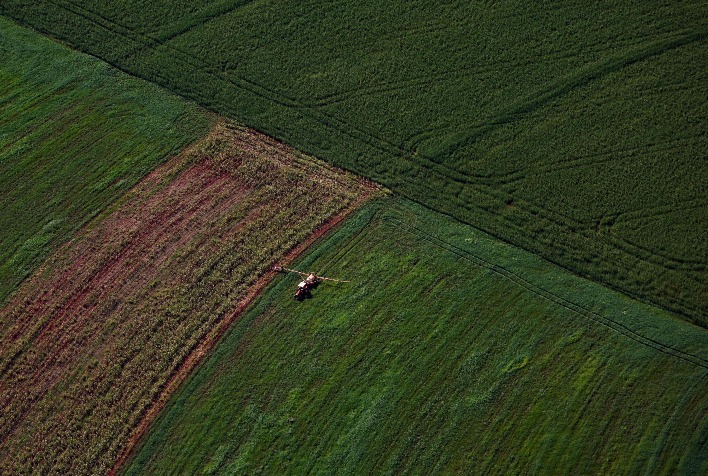 Paraná amplia produção agropecuária e reforça posição como “supermercado do mundo”