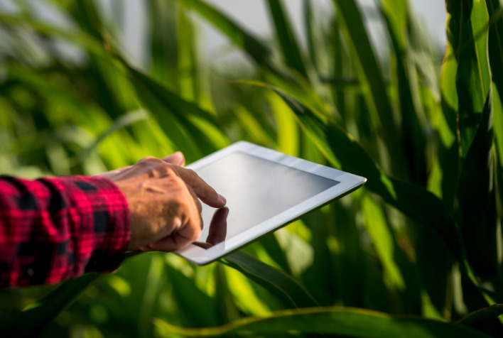 Plataforma digital de R$ 12 milhões promete reduzir risco ambiental e facilitar acesso ao crédito rural no Brasil