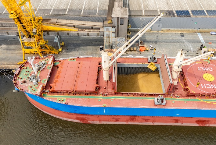 Porto de Paranaguá bate recorde com descarga de 50 mil toneladas de cevada em único navio