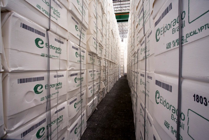 Rabobank projeta estabilidade na celulose em 2026 e aponta possível retomada dos preços no segundo semestre