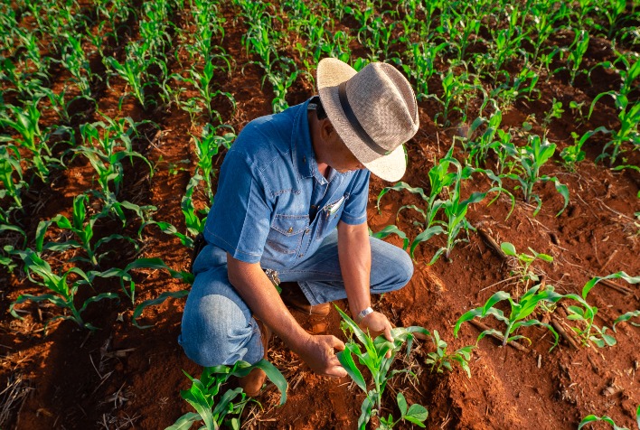 Agro brasileiro combina recorde de produção com avanço em sustentabilidade e práticas ESG consolidadas