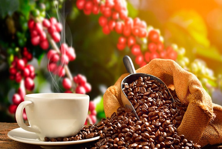 Café recua forte nas bolsas internacionais e pressiona estratégia de venda no Brasil