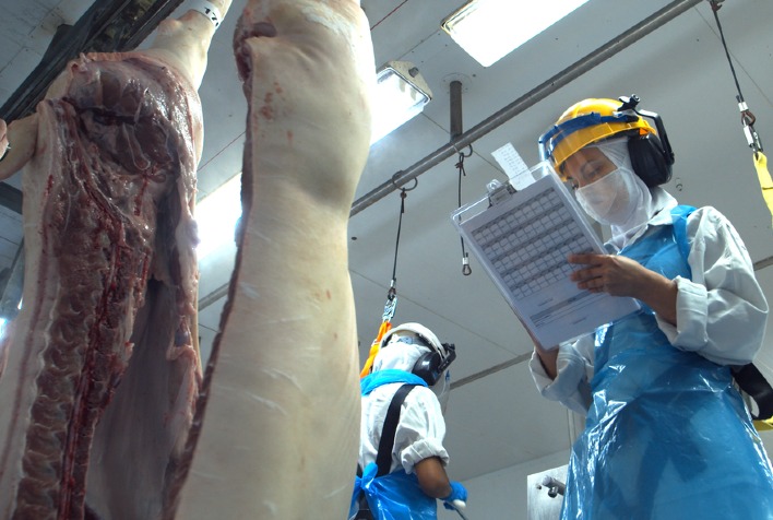 Carne suína: oferta elevada e demanda fraca pressionam preços no mercado interno