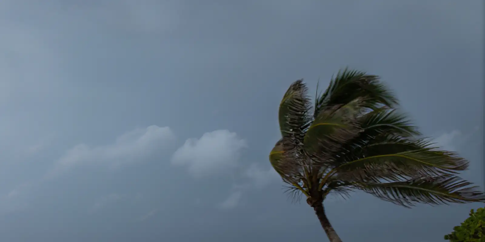Chuvas atingem Norte, Nordeste e litorais de Sul e Sudeste esta semana