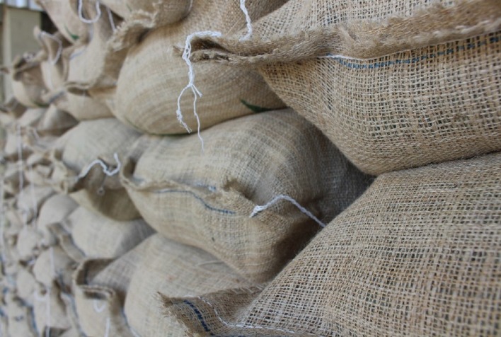 Estoques de café na Europa caem ao menor nível desde 2024, aponta Hedgepoint