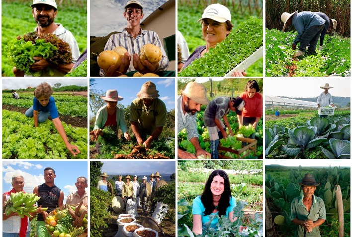 Goiás investe R$ 6,9 milhões na agricultura familiar e beneficia mais de 1,3 mil produtores