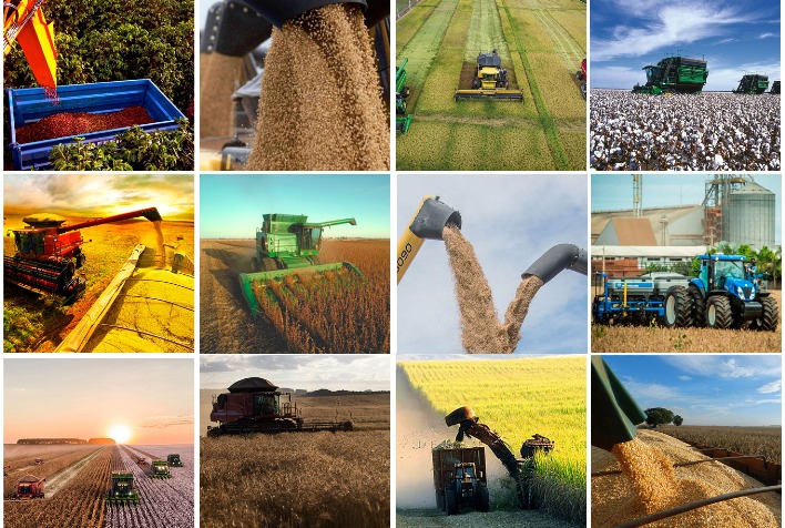 Produção de grãos deve crescer 11,9% na safra 2024/25 e atingir novo recorde no Brasil