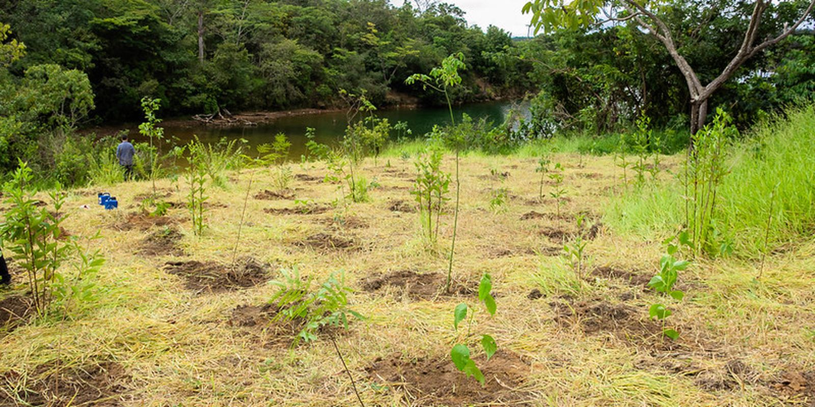 Serrinha do Paranoá (DF) vira parque para proteger ecossistemas