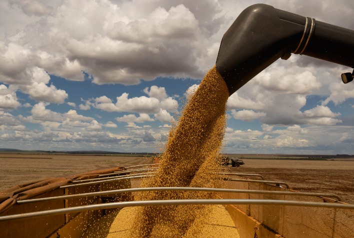 StoneX eleva estimativa da safra de soja 2025/26 no Brasil e projeta produção recorde