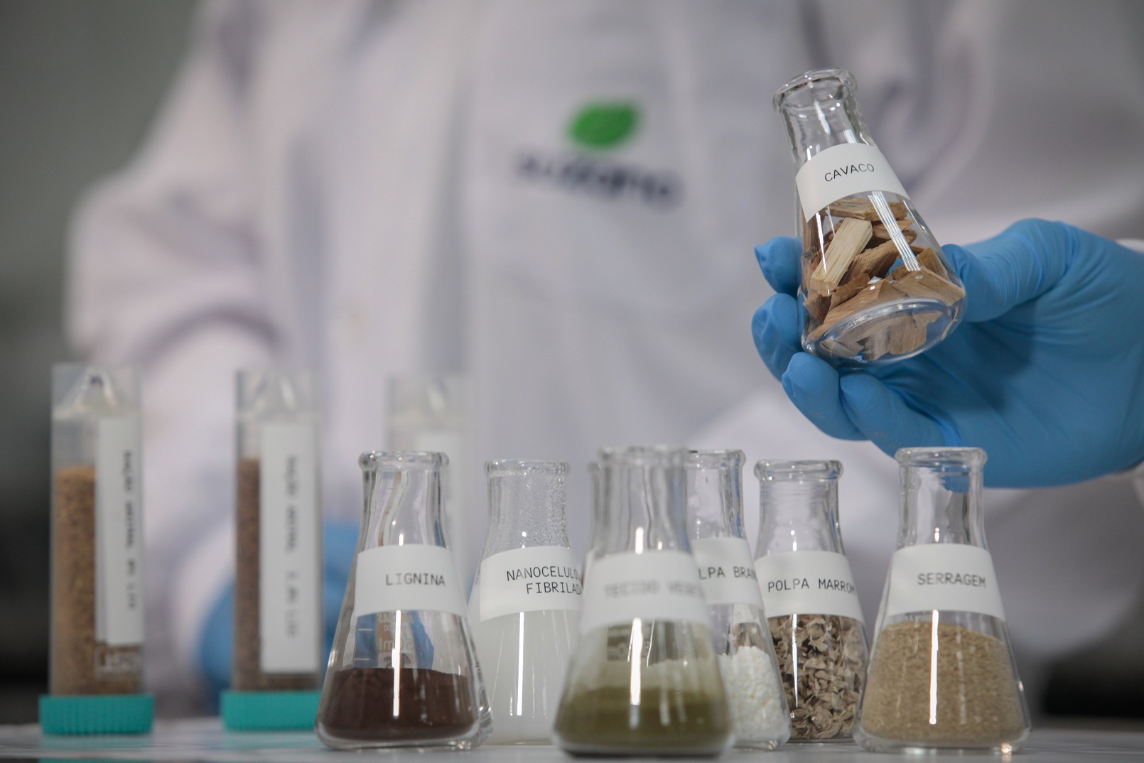 Suzano (SUZB3) aprova distribuição de dividendos adicionais; veja quem tem direito