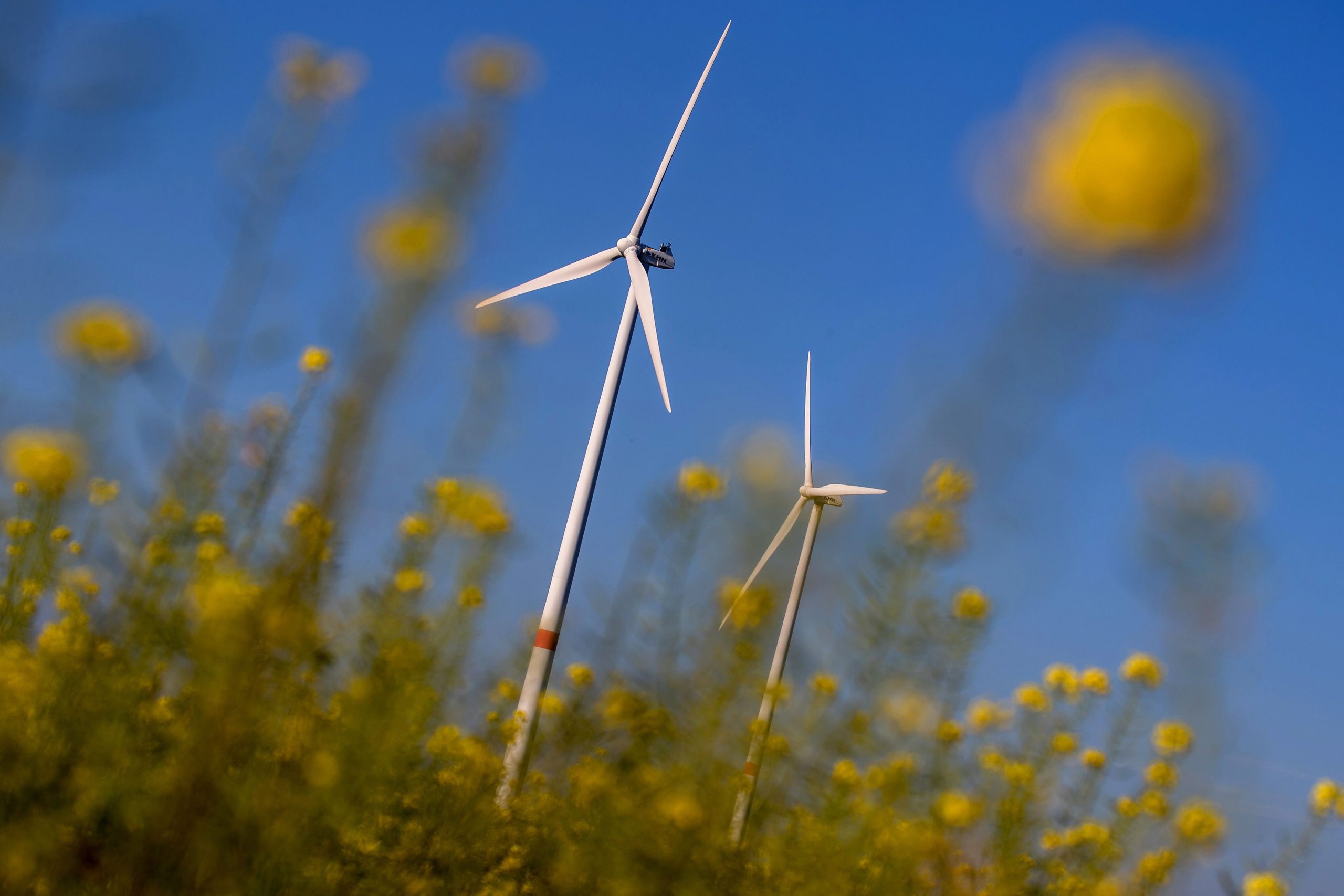 Governo dos EUA cita “segurança nacional” para suspender projetos de energia eólica